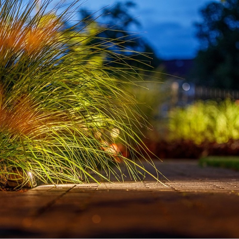 Lightpro Garden Lighting UK Outdoor Lights Low Voltage Tiga DL 12V 5W Wall/Path Light 6