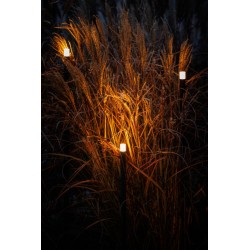 UK Low Voltage Outdoor Lighting - Lightpro 12V Erba Garden Post Light 5