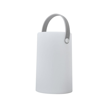 Daomu Rechargeable RGB Table/Floor Lamp