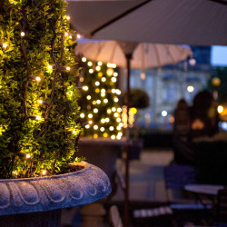 Techmar Garden Lighting UK Outdoor Lights Low Voltage Linea All Seasons 30mtr Kit 6