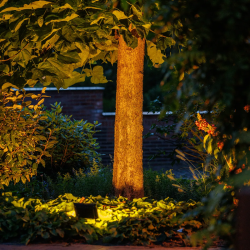 Lightpro Outdoor Garden Lighting Professional DIY  Avior 16w Floodlight Dimmable 5