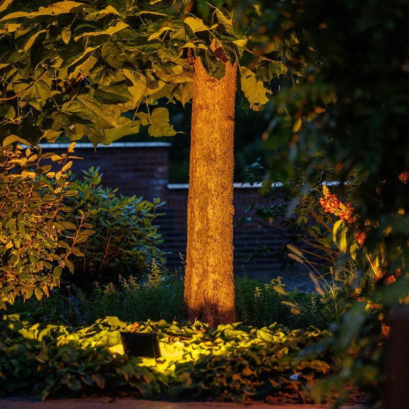 Lightpro Outdoor Garden Lighting Professional DIY  Avior 16w Floodlight Dimmable 5